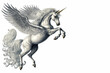 Alicorn, Unicorn Pegasus rearing up isolated Generative AI
