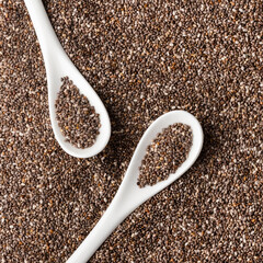 organic chia seeds in two ceramic spoons - salvia hispanica