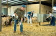 © JackF - Farmer does the cleaning in the goat shed