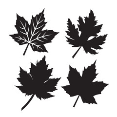 maple leaves