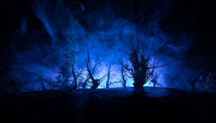 Wall Mural - spooky dark landscape showing silhouettes of trees in the swamp on misty night.