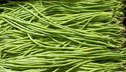 Wall Mural - fresh green cowpea as food background