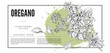 Oregano natural herb horizontal card frame design vector illustration isolated.