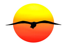 Silhouette Of Bird Flying With Sun On Transparent Background.
