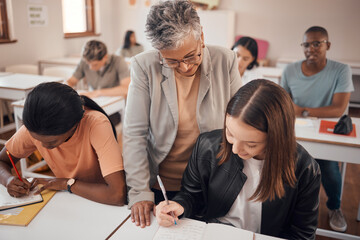Poster - Help, classroom and professor with writing student in learning, mentorship and teaching at university, college or school. Knowledge, language and notes of a teacher with young woman for youth support