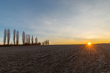 A spectacular sunrise with sunbeams over the rolling hills in an Italian landscape with the typical Tuscan Poplar trees. This landscape can also be found in the Netherlands