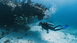 diver looking inside a cavern for big school of yellow fish