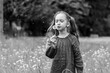 Kind auf einer Sommerwiese pustet Pusteblume Löwenzahn