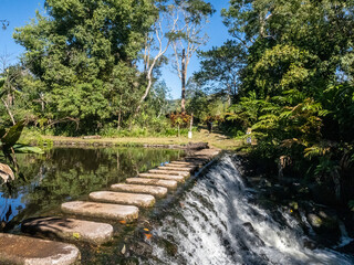 Wall Mural - Wasserfall