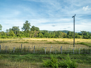 Poster - Landschaft