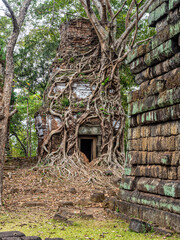 Poster - angkor wat