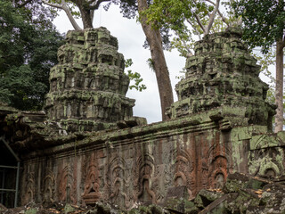 Canvas Print - angkor wat