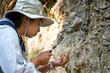 © Pornpimon - Female geologist using a magnifying glass examines nature, analyzing rocks or pebbles. Researchers collect samples of biological materials. Environmental and ecology research.