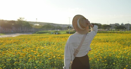 Wall Mural - Woman enjoy the flower farm in the park