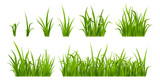 Fototapeta Panele - Green grass, weed plants for lawn, spring or summer field, garden or meadow. Borders and tufts of fresh grass blades isolated on white background, vector realistic set
