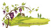 Landscape with vineyard / Vector illustration, vine on the background of the fields
