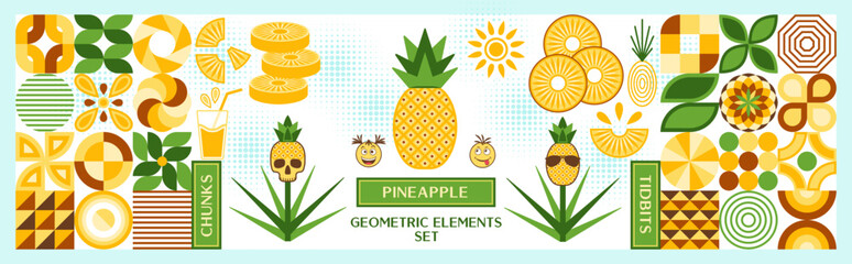 Set of design elements, logo with pineapple in simple geometric style. Abstract shapes. Good for branding, decoration of food packaging, cover design, decorative print, background.