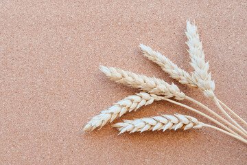 Ears of wheat on a light background close-up. Blur. Harvest and agriculture concept.