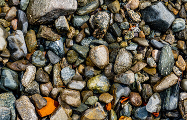 Wall Mural - Pebbles on the shore
