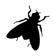 Canvas Print - Fly Silhouette