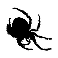 Poster - Spider Silhouette