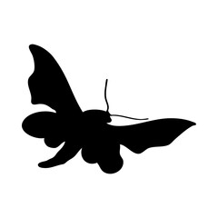 Sticker - Moth Silhouette