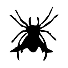 Canvas Print - Spider Silhouette