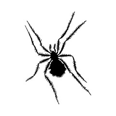 Sticker - Spider Silhouette