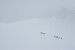 © Designpics - A group of back country skiiers heading uphill in low visibility.; Selkirk Mountains, British Columbia, Canada.