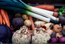 Healthy Winter Vegetables Fresh Organic Food