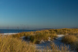 Fototapeta Paryż - A view of the dunes in Sobieszewo on the Gulf of Gdansk