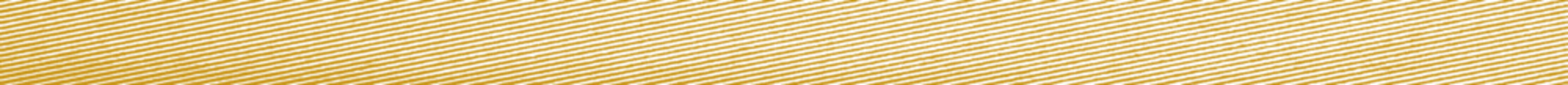 Wall Mural - grunge texture horizontal sepia beige brown line png