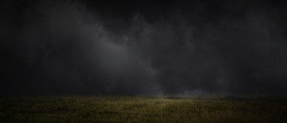 Wall Mural - meadows field at night
