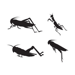 Wall Mural - Grasshopper Logo Template vector icon illustration design