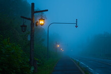 Foggy Blue Road With Lamp Post And A Raven On