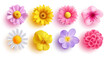 Spring flowers set vector design. Spring flower collection like daffodil, sun flower, crocus, daisy, peony and chrysanthemum fresh and blooming elements isolated in white background. Vector