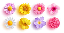 Spring Flowers Set Vector Design. Spring Flower Collection Like Daffodil, Sun Flower, Crocus, Daisy, Peony And Chrysanthemum Fresh And Blooming Elements Isolated In White Background. Vector