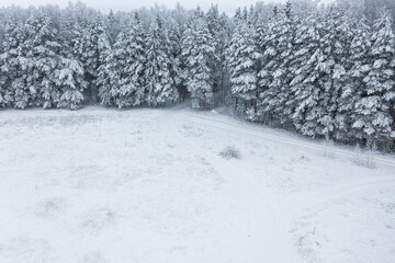 Wall Mural - Aerial view of a snow-covered country park