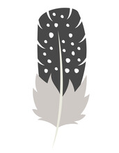 Guinea Fowl Feather In Flat Style. Beautiful Design Element.
