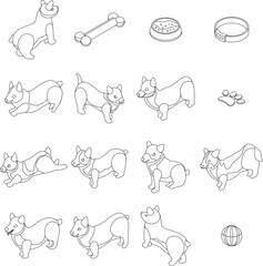 Poster - Corgi dogs icons set. Isometric set of corgi dogs vector icons outline on white thin line collection