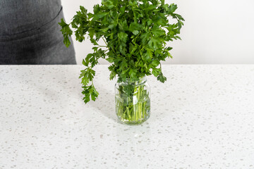 Wall Mural - Fresh parsley