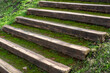 Escalinata hecha con vigas de madera en el campo