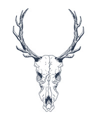 Sticker - reindeer skull boho style