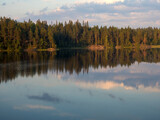 Fototapeta Las - reflections on a forest lake