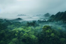 Misty Morning In The Mountains Full Of Fog Over The Jungle/Forest