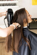 © Виктория Попова - The hairdresser dries the client's hair with a hair dryer and styles her hair with a comb.