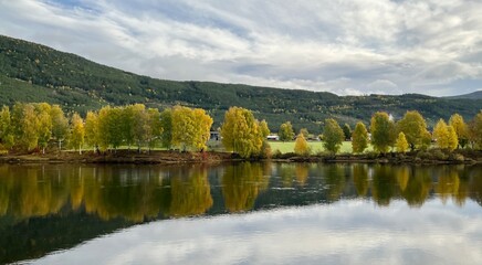 Wall Mural - Beautiful scenery of autumn foliage with mountains in Norway