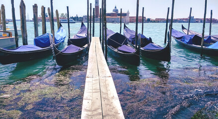 Gondolas in Venice. The problem of pollution of the ecosystem. Close-up