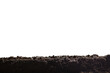 © BillionPhotos.com - Fertile brown dirty soil or ground