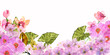 Banner con cornice di delicati fiori lilla,  acquerello isolato su sfondo bianco